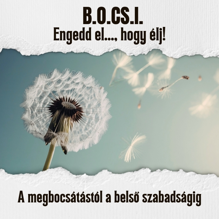Sorozat képe