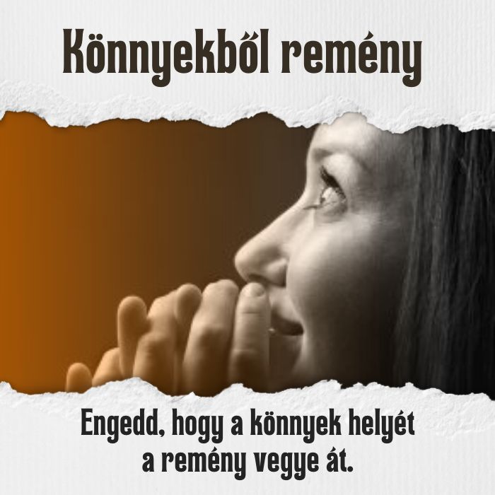 Sorozat képe